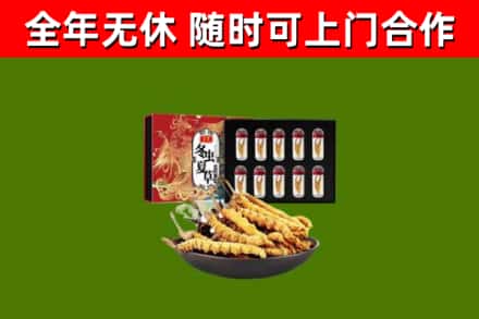 平谷回收冬虫夏草价格
